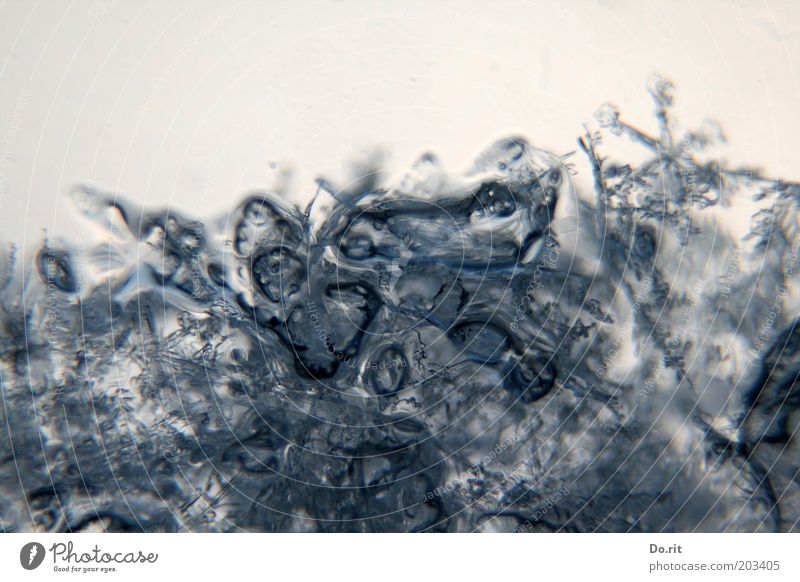 bibber - wer stellt denn mal den Regen ab? Wasser Schnee glänzend blau grau Frost Eisblumen Eiskristall Schneekristall Schneeflocke Gedeckte Farben