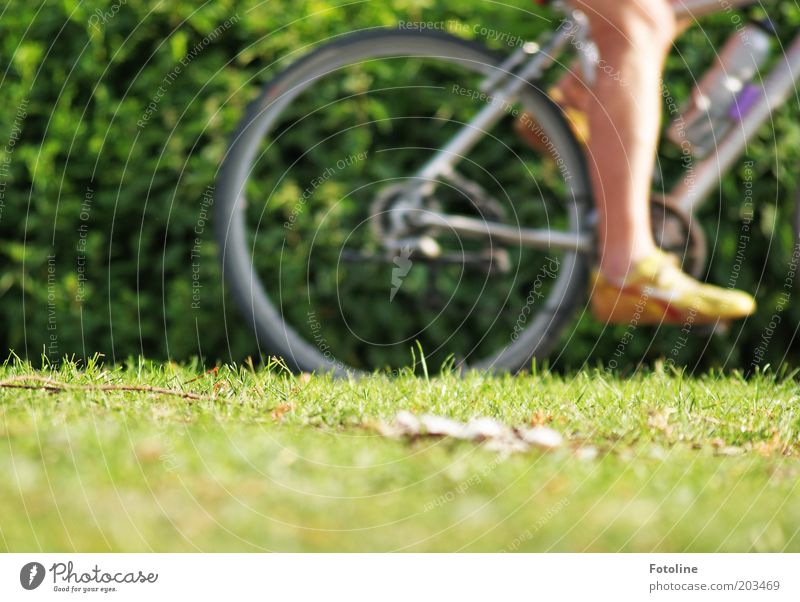 sportlich! Mensch Erwachsene Beine Fuß Natur Pflanze Sommer Gras Park Wiese fahren Fahrrad Fahrradfahren Fahrradtour Farbfoto mehrfarbig Außenaufnahme Tag Licht