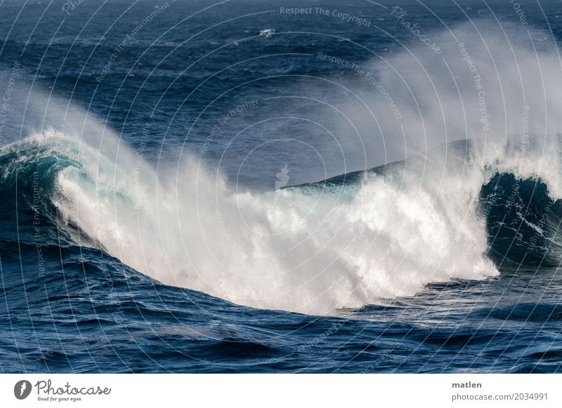 Mittelwelle Natur Landschaft Wasser Wetter Schönes Wetter Wind Meer kalt blau Wellen Gischt brechen Brandung Farbfoto Außenaufnahme Strukturen & Formen