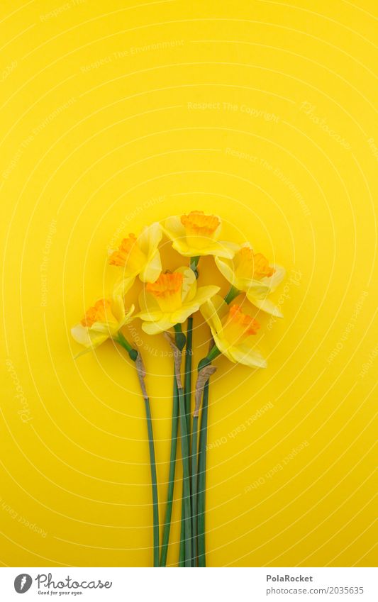 #AS# Frühling 2017 Kunst Kunstwerk ästhetisch Narzissen Ostern Frühlingsblume Frühlingsfarbe Frühlingsfest gelb Gelbstich Blüte Blütenknospen viele Blumenstrauß