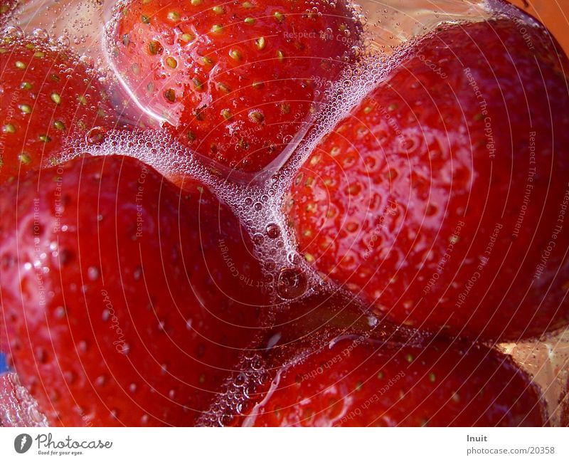 Erdbeeren 02 Sekt Prosecco Sektperlen Alkohol Nahaufnahme