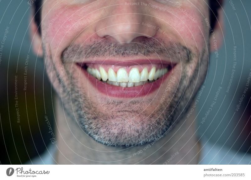 Strahlemann Mensch maskulin Mann Erwachsene Kopf Gesicht Nase Mund Lippen Zähne Bart 1 30-45 Jahre schwarzhaarig brünett Dreitagebart Lächeln lachen