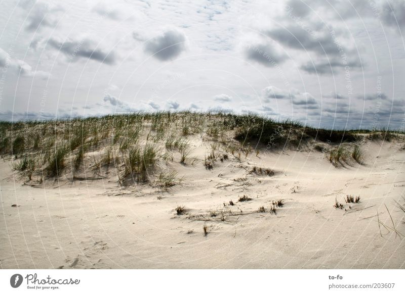 Düne Natur Landschaft Sand Luft Himmel Wolken Pflanze Gras Küste Strand Nordsee Stimmung ruhig Farbfoto Außenaufnahme Menschenleer Tag