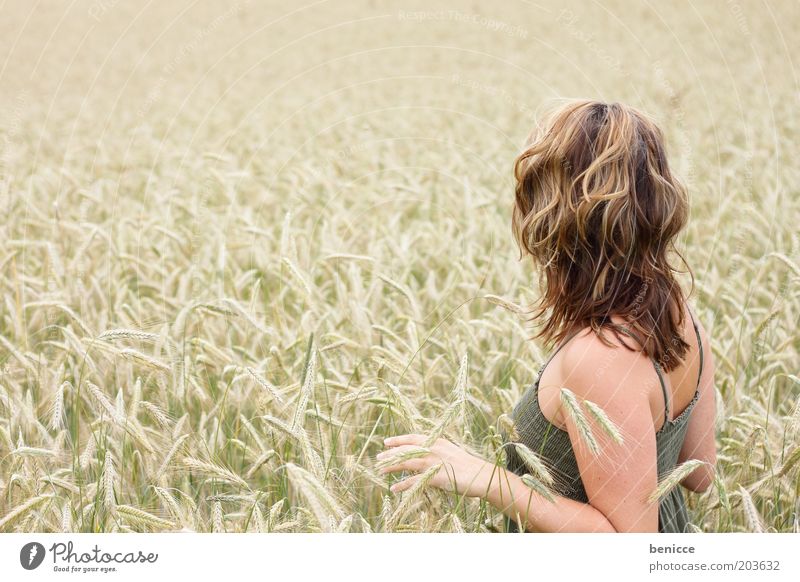 kornfeld Frau Mensch Kornfeld stehen Einsamkeit Weizen Feld verträumt Natur berühren Leben dünn Textfreiraum links Landwirtschaft Getreide Rückansicht Sommer