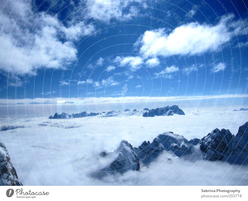 Über den Wolken Natur Landschaft Himmel Winter Schönes Wetter Alpen Berge u. Gebirge Gipfel Schneebedeckte Gipfel Stimmung Macht Tatkraft