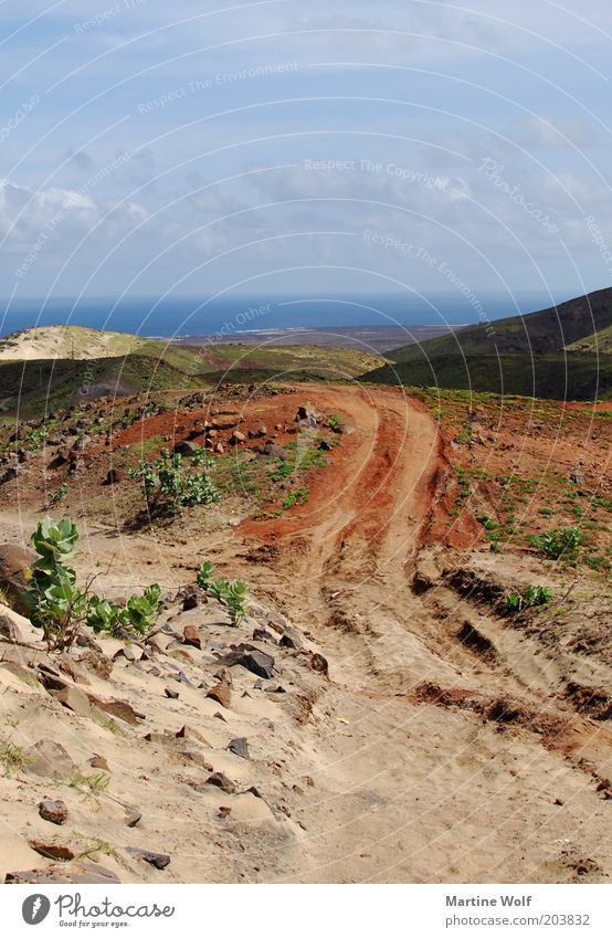 der Weg reloaded Ferien & Urlaub & Reisen Ausflug Ferne Freiheit Natur Landschaft Sand Cabo Verde São Vicente Afrika frei Fußweg Reifenspuren Meer Horizont