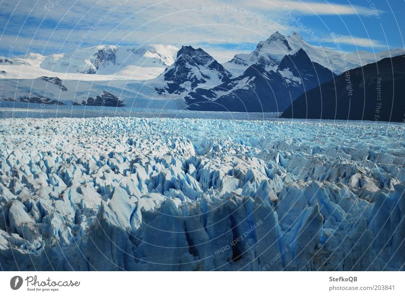 Perito Moreno Umwelt Natur Landschaft Urelemente Wasser Eis Frost frieren Ferien & Urlaub & Reisen leuchten frei Unendlichkeit blau weiß Freiheit