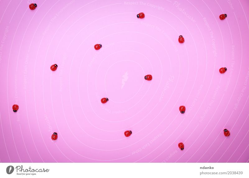 Dekorative hölzerne Marienkäfer auf einer rosa Oberfläche Dekoration & Verzierung Spielzeug Holz hell klein rot Hintergrund Insekt viele Frühling Farbfoto