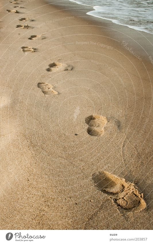 Spuren im Sand Gesundheit Wellness Erholung Kur Freiheit Strand Meer Natur Landschaft Küste Ostsee Wege & Pfade Fußspur gehen Vergangenheit Vergänglichkeit Zeit