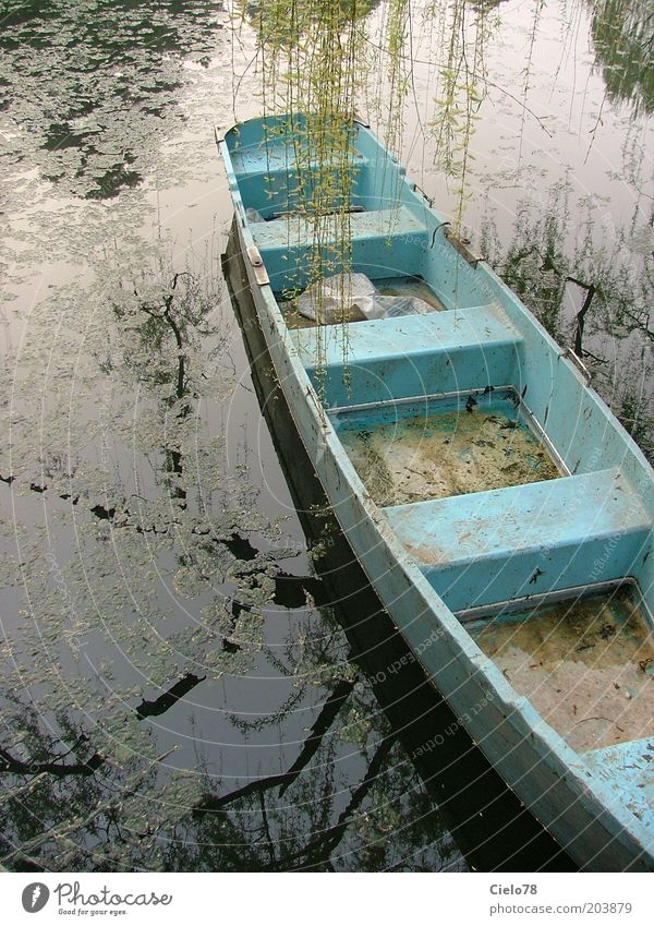Boot auf See Natur Wasser Baum Weide Teich Peking China Asien Ruderboot alt blau Gelassenheit ruhig Einsamkeit Idylle Farbfoto Außenaufnahme Menschenleer Tag