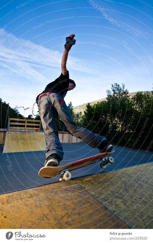 riot skate maskulin Junger Mann Jugendliche Körper fahren Skateboard Skateboarding Vergnügungspark Sliden Halfpipe Punk Mut Gleichgewicht Gegenlicht drehen