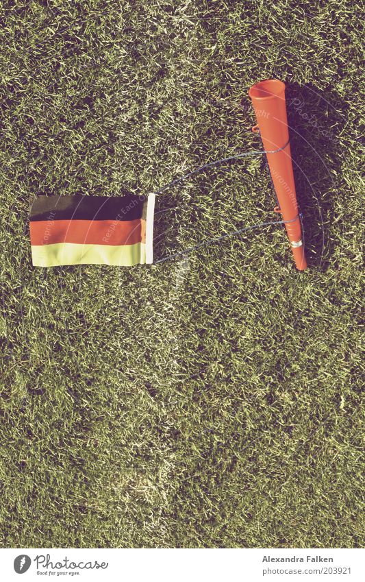 Geht doch... Sport Kampfsport Ballsport Fußball Fußballplatz Sportstätten grün Rasen Tröte Fahne Deutschland Weltmeisterschaft Krach Markierungslinie