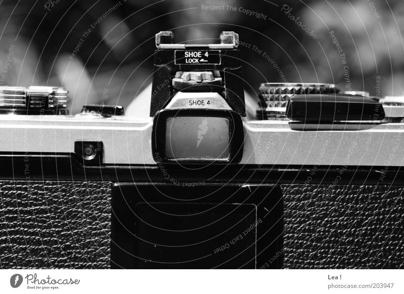 Kamera Fotografieren Fotokamera alt retro Leidenschaft Schwarzweißfoto Außenaufnahme Menschenleer Tag Zentralperspektive analog Sucher