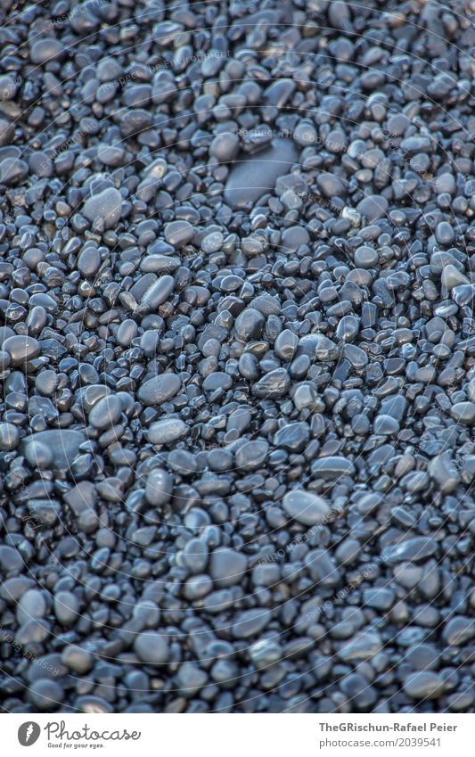 Lavasteine Umwelt Natur schwarz Stein rund Oval nass viele Island Strand Strukturen & Formen Farbfoto Außenaufnahme Menschenleer Textfreiraum links
