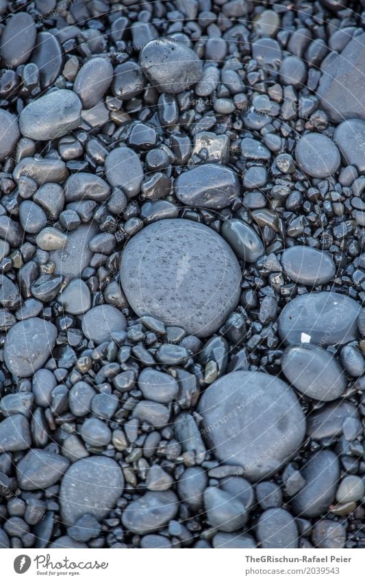 Gestein Umwelt Natur schwarz Lava Lavastrand Stein grau anthrazit Oval rund flach Island Farbfoto Außenaufnahme Detailaufnahme Menschenleer Textfreiraum links