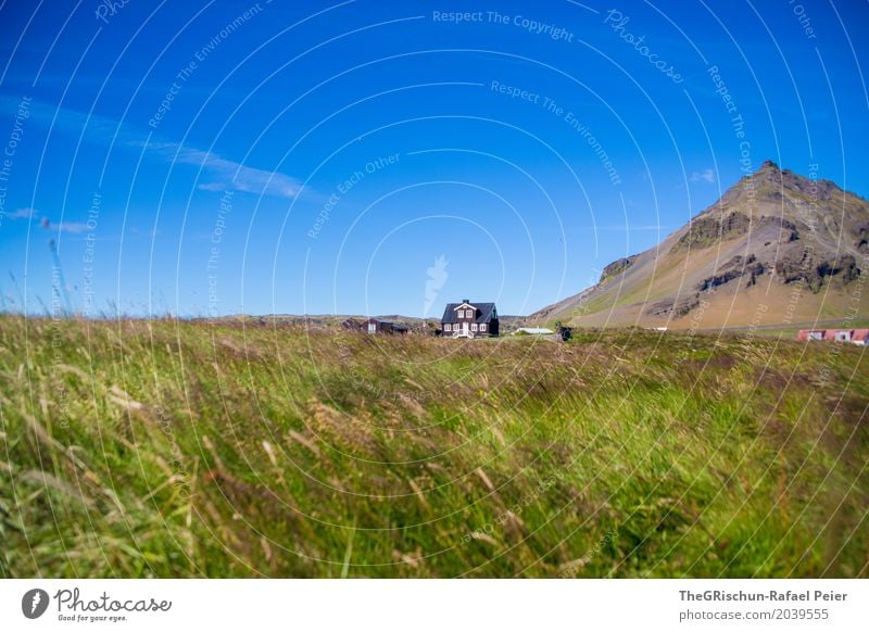 Haus am Berg Umwelt Natur Landschaft blau grün Berge u. Gebirge Island Reisefotografie Wiese Himmel Wolkenloser Himmel Perspektive Ferien & Urlaub & Reisen