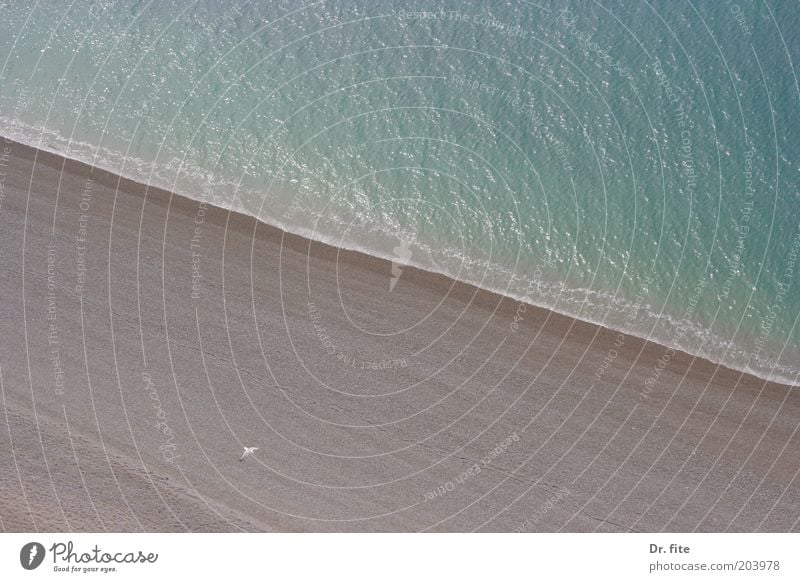 Meer sehen Natur Urelemente Sand Wasser Sommer Wellen Küste blau braun Fernweh Farbfoto Außenaufnahme Luftaufnahme Menschenleer Textfreiraum oben
