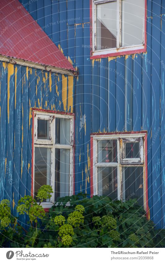 Blue his house Dorf blau gelb grün rot Fenster alt Farbe abblättern Dach Pflanze Island Haus Hütte Farbfoto Außenaufnahme Menschenleer