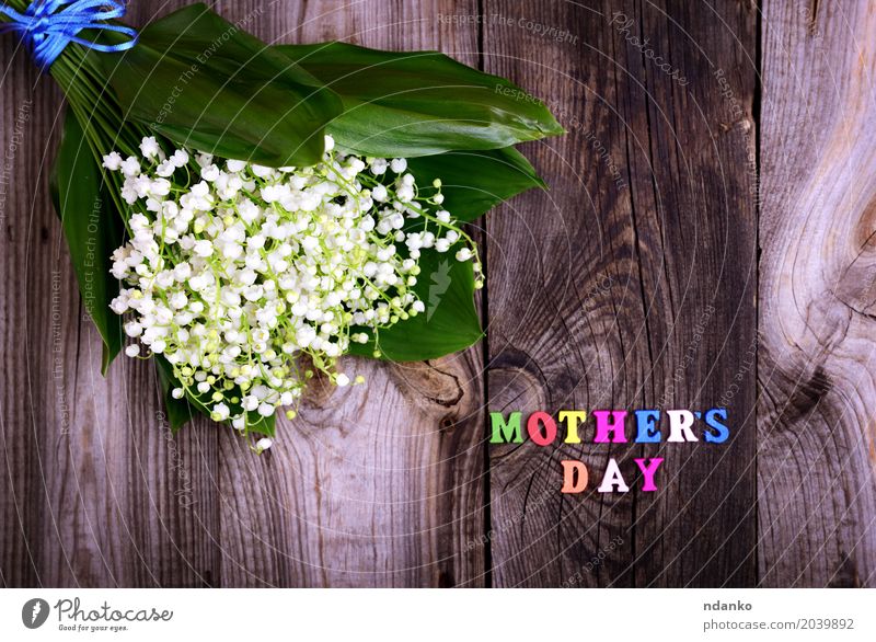 Blumenstrauß aus weißen Maiglöckchen schön Muttertag Pflanze Holz Blühend hell klein mehrfarbig grau Glück Frühling duftig Stengel Hintergrund Feiertag