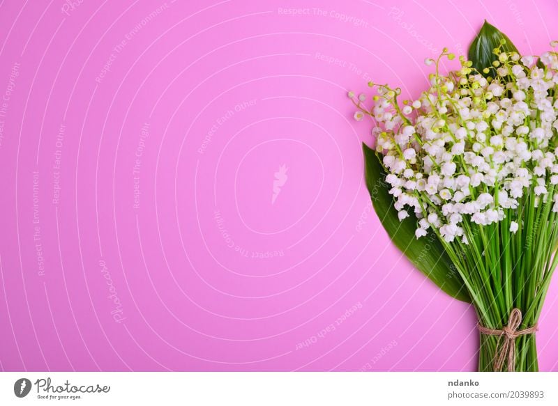 Blumenstrauß von weißen Maiglöckchen auf einer rosa Oberfläche schön Valentinstag Muttertag Hochzeit Geburtstag Pflanze hell klein grün Überstrahlung Frühling