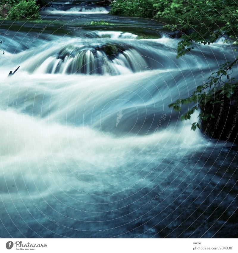 Triebwerk Umwelt Natur Landschaft Pflanze Wasser Park Urwald Flussufer Wasserfall Oase fantastisch nachhaltig nass natürlich wild blau grün Idylle Vogtlandkreis