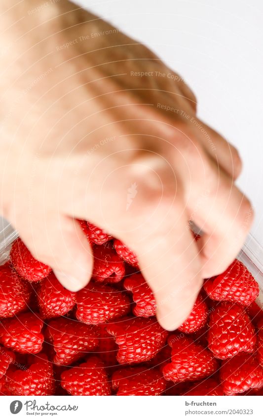 Jetzt zugreifen! Frucht Bioprodukte Mann Erwachsene Hand Finger 30-45 Jahre Kunststoffverpackung berühren frisch Gesundheit rot Himbeeren Beeren nehmen