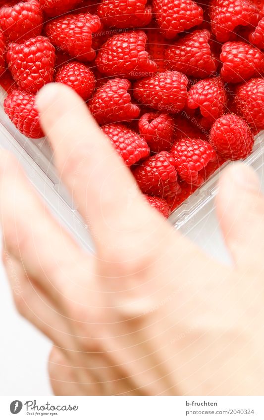 Zugreifen! Frucht Mann Erwachsene Hand Finger 30-45 Jahre kaufen Essen frisch Gesundheit rot Himbeeren fruchtig Blister Süßwaren Farbfoto Innenaufnahme
