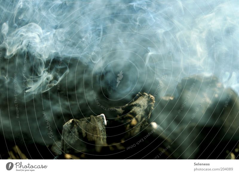 Raucherclub Holzkohle Feuer Farbfoto Außenaufnahme Menschenleer Textfreiraum oben Licht Schatten Kontrast Grillkohle entzünden Tag