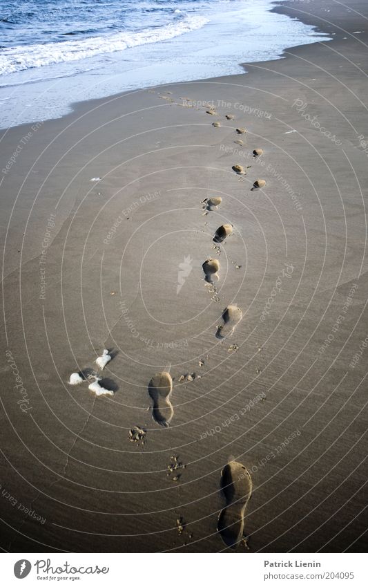 Weg ins Wasser Umwelt Sand Sommer Klima Wetter Wellen Küste Strand Nordsee Meer laufen Fußspur Wege & Pfade dunkel Symbole & Metaphern Schaum