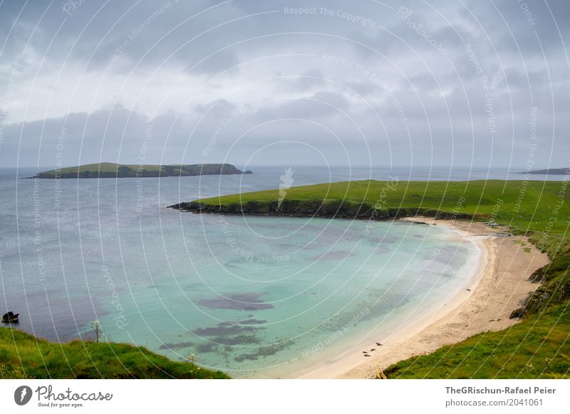 Shetland Umwelt Natur blau grau grün türkis weiß Strand Bucht Gras Weide schlechtes Wetter Wolken Sand Wasser Meer Tier deutlich Insel Farbfoto Außenaufnahme