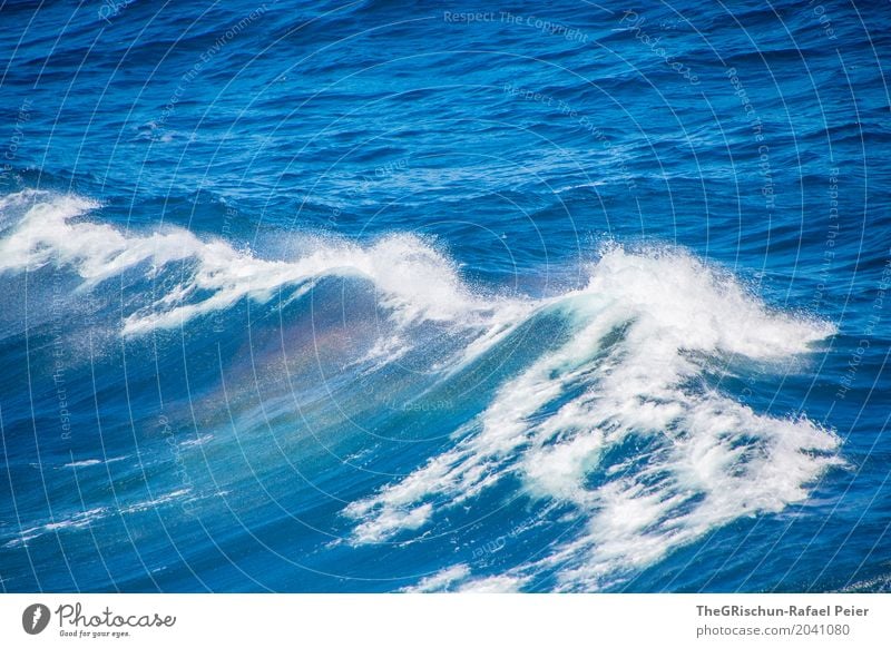 Die Welle Natur blau türkis weiß Wellen Gischt Wassermassen Regenbogen deutlich schön Schifffahrt Meer nass Meerwasser Farbfoto Außenaufnahme Menschenleer