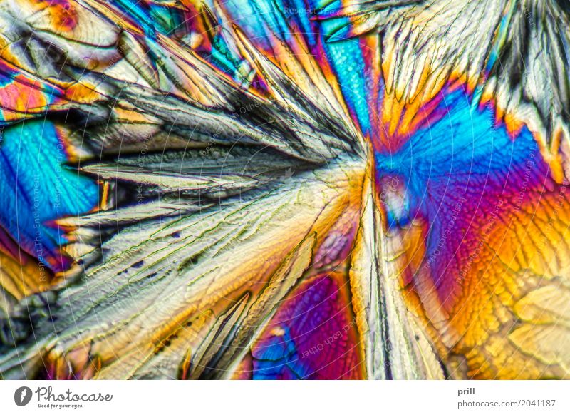 microscopic Galactose crystals Wissenschaften Natur außergewöhnlich galactose d-galactose Zucker mikrokristall halb durchsichtig durchlicht künstlich Mineralien