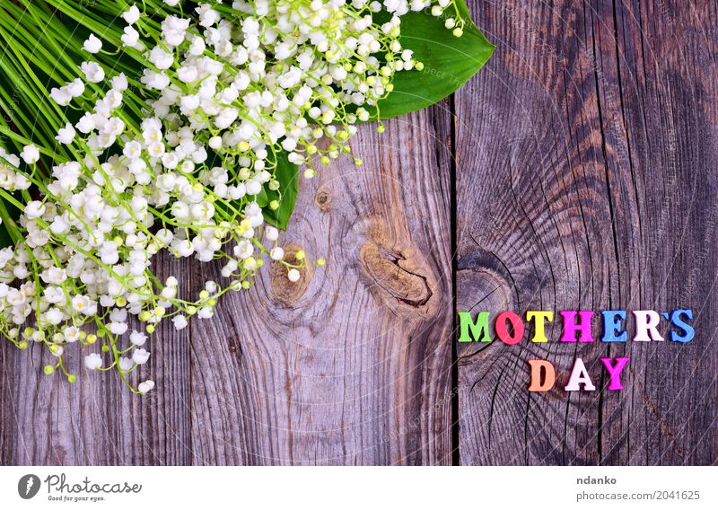 Hintergrund mit der Inschrift Muttertag Pflanze Blume Blumenstrauß Holz Blühend hell klein grau weiß Maiglöckchen Frühling duftig Stengel Feiertag gratulieren