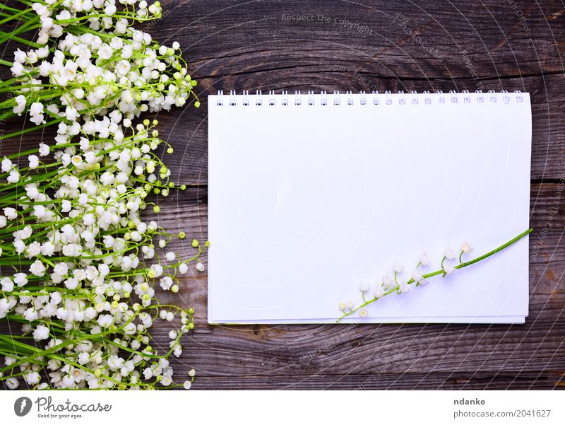 Notizbuch mit sauberen weißen Blättern Design schön Garten Dekoration & Verzierung Tisch Valentinstag Muttertag Hochzeit Geburtstag Pflanze Blume Blatt Papier