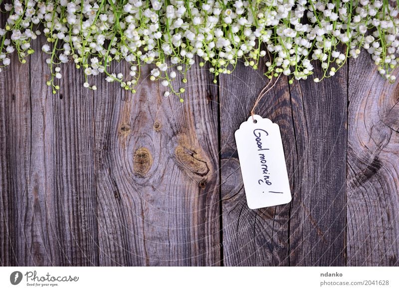 Papiertag mit der Aufschrift guten Morgen schön Garten Pflanze Blume Blumenstrauß Holz hell klein grau weiß Beginn Maiglöckchen Überstrahlung Frühling duftig