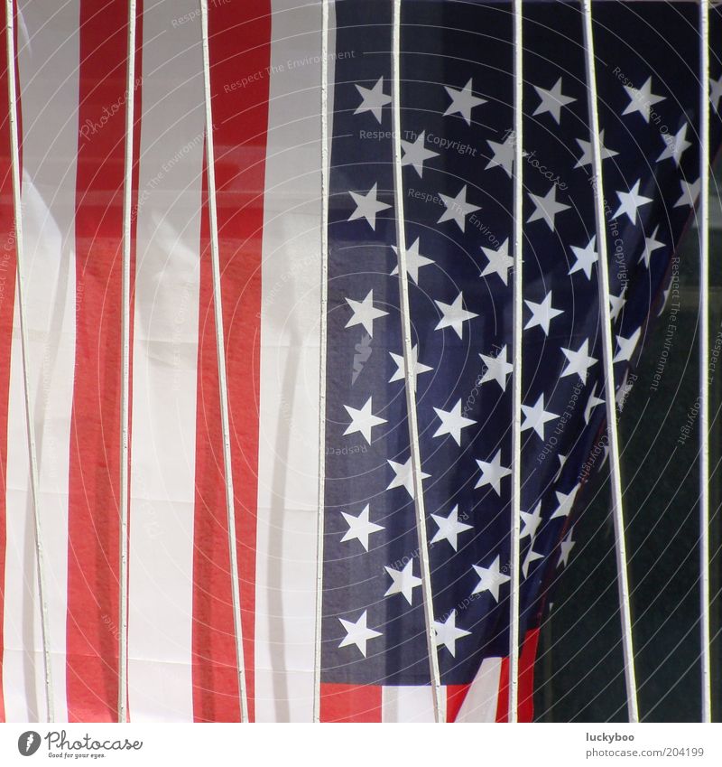 American Stars'n Bars Dekoration & Verzierung USA Zeichen Streifen Fahne Stern (Symbol) Stars and Stripes rot blau weiß Farbe Macht Vergänglichkeit gefangen