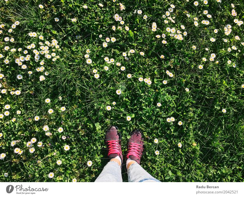 Frauen-Sport beschuht im Frühjahr Gras mit Gänseblümchen Lifestyle Stil Freude Ferien & Urlaub & Reisen Abenteuer Freiheit Sommer Garten Mensch feminin