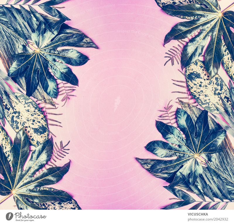 Tropische Blätter Rahmen auf Pastell rosa Hintergrund Lifestyle Stil Design Freizeit & Hobby Ferien & Urlaub & Reisen Sommer Natur Pflanze Blatt Grünpflanze