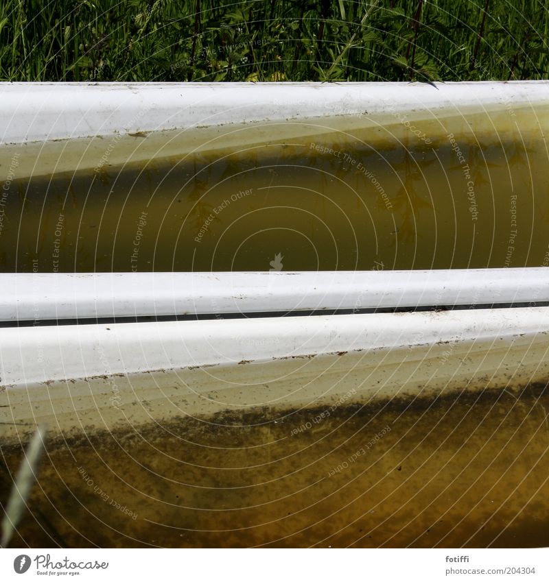 bade(wannen)saison Natur Wasser Gras alt umfunktioniert Badewanne Viehtränke weiß verfaulen abgestanden einzeln bräunlich ruhig Reflexion & Spiegelung