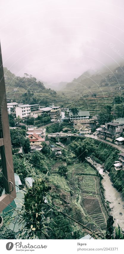 Coultivierung von Reis von Banaue Unesco Site schön Ferien & Urlaub & Reisen Berge u. Gebirge wandern Haus Umwelt Natur Landschaft Pflanze Erde Wind Nebel Regen