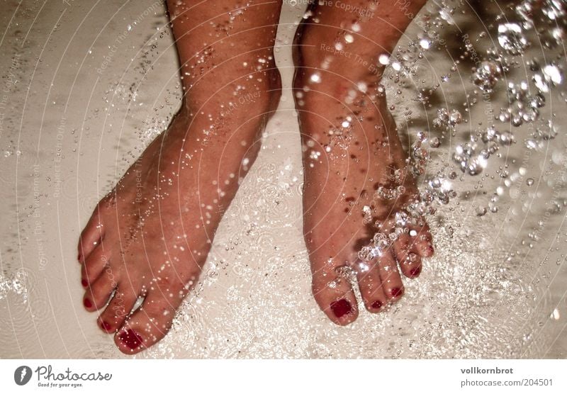 dusch füße Nagellack Wellness Wohlgefühl Fuß Wasser Wassertropfen Schwimmen & Baden rot Vogelperspektive Textfreiraum links Zehen Unter der Dusche (Aktivität)