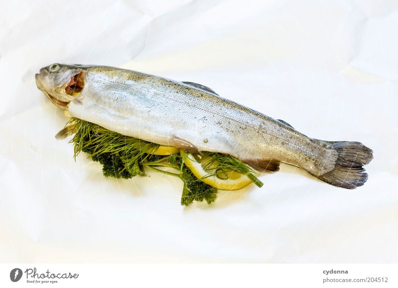Innere Werte Fisch Kräuter & Gewürze Ernährung Mittagessen Lifestyle Gastronomie Gesundheit Kreativität Qualität Tod Füllung Metallfolie Petersilie voll Inhalt