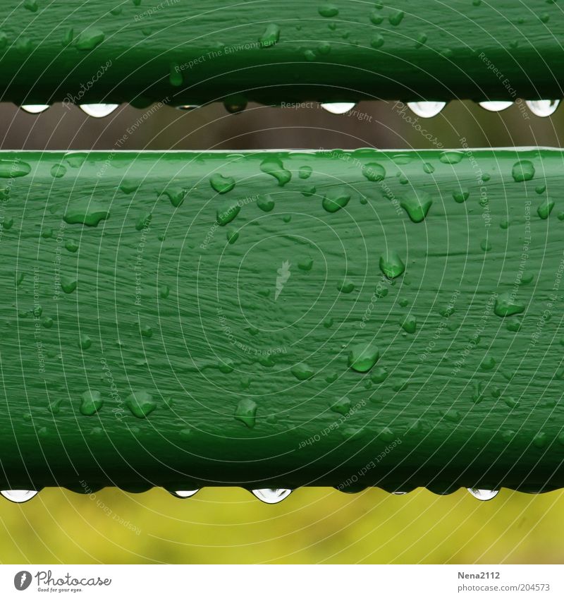 Frühling 2010 Flüssigkeit nass grün Wassertropfen feucht Tropfen parallel Farbfoto Außenaufnahme Nahaufnahme Detailaufnahme Makroaufnahme Menschenleer Tag Licht