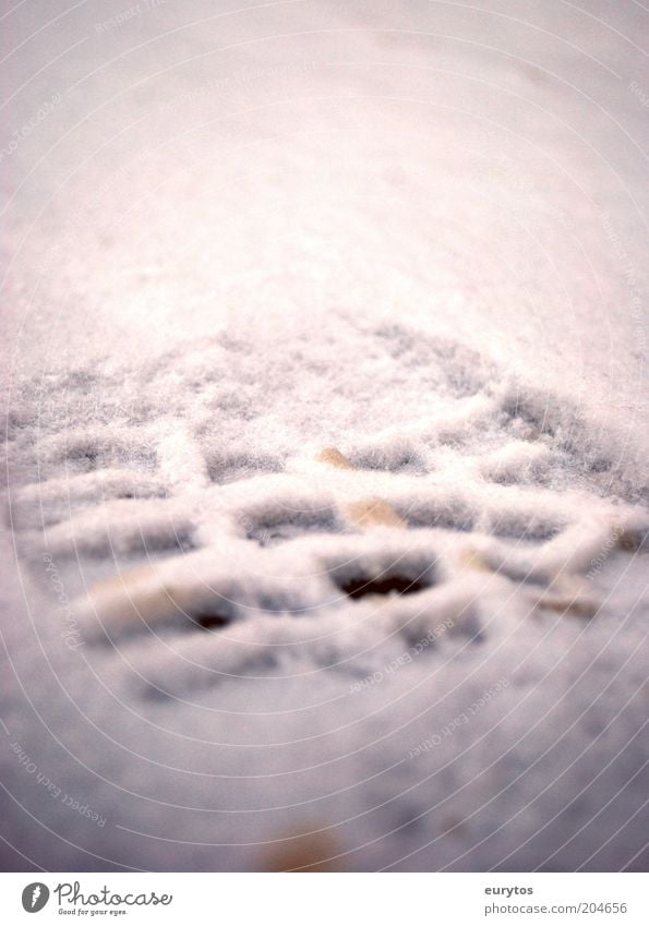Winter is here! weiß Fußspur Außenaufnahme Nahaufnahme Detailaufnahme Makroaufnahme Lomografie Holga Textfreiraum oben Tag Unschärfe Schwache Tiefenschärfe