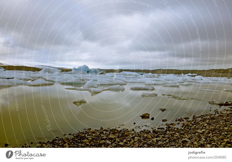 Island Umwelt Natur Landschaft Wasser Himmel Wolken Klima Klimawandel Gletscher Seeufer außergewöhnlich kalt nass natürlich Stimmung ruhig Farbfoto