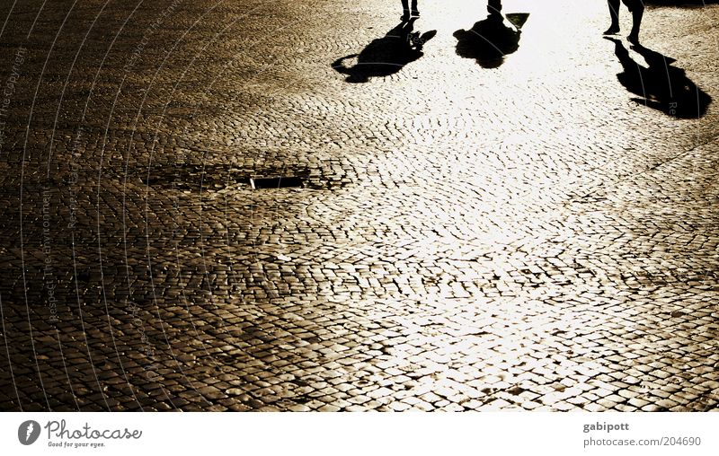 praça da grande sombra Mensch Menschengruppe Lissabon Fußgängerzone Platz Kopfsteinpflaster gehen Lebensfreude Bewegung Idylle einzigartig Sommer