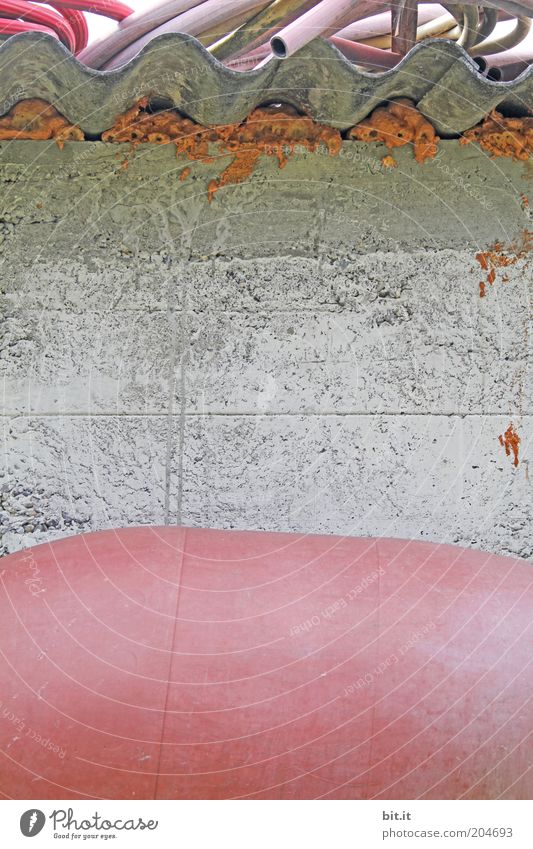 FASS ADE Mauer Wand Stein Beton Linie grau rosa skurril sparsam stagnierend Fass Isolierung (Material) Dach welldach Schlauch Gartenschlauch trist