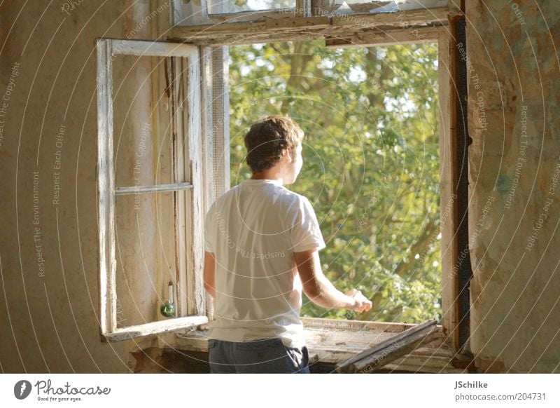 Fenster der Hoffnung Wohnung Innenarchitektur Fensterrahmen maskulin Junger Mann Jugendliche 18-30 Jahre Erwachsene Natur Sonnenlicht Baum Haus Ruine Gebäude