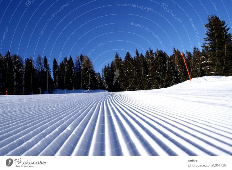 morgenstund hat frische pisten im mund Wintersport Skipiste Natur Landschaft Wolkenloser Himmel Eis Frost Schnee Alpen Berge u. Gebirge Unendlichkeit hoch schön