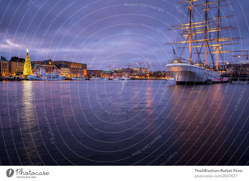 Segelschiff Stadt Hauptstadt Hafenstadt blau violett weiß Stockholm Schweden Städtereise Wasserfahrzeug Reflexion & Spiegelung Weihnachtsbaum Licht Dämmerung